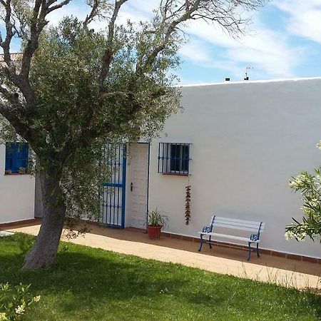 Casa Montecote Playa Лос-Каньос-де-Мека Екстер'єр фото